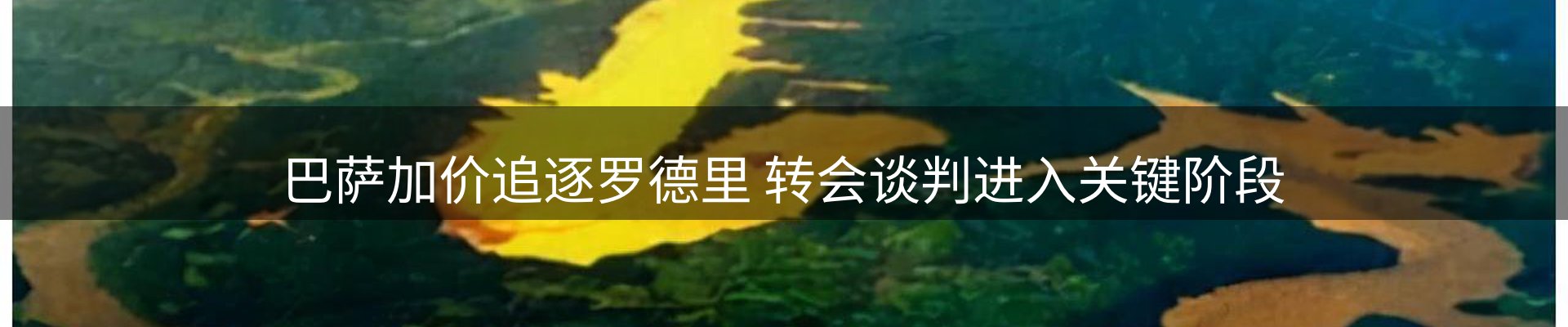 今日资讯
