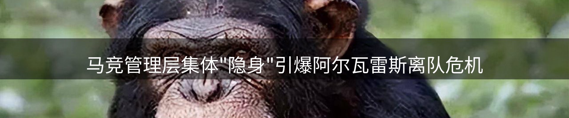 今日资讯